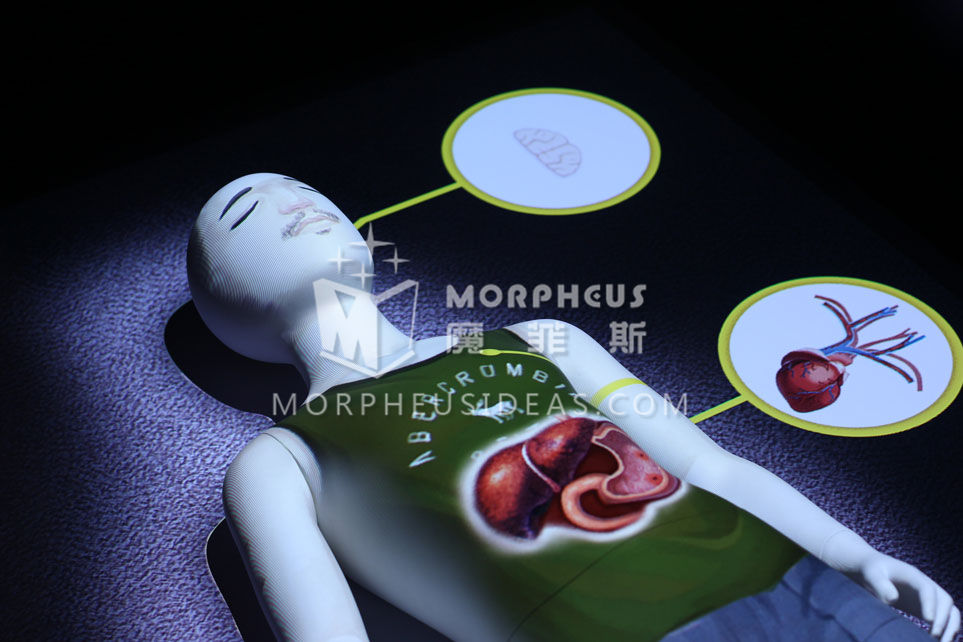 使用透视眼后内部情况、各种病变一目了然