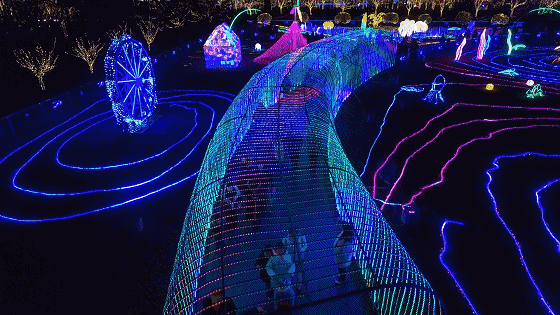 裸眼3D水幕燈光藝術節